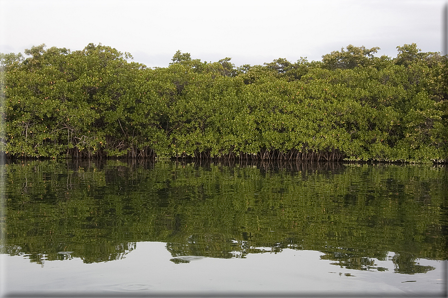 foto Isole Galapagos